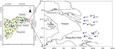 Change of the Long-Term Nitrogen and Phosphorus in the Changjiang (Yangtze) River Estuary